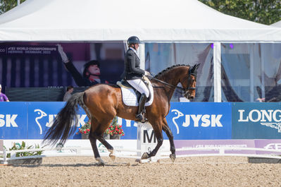 Para Dressage
Grade IV
Keywords: Anita Hennie Johnsen;Lindegaard Lucky;cp