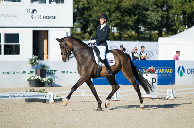 Para Dressage
Grade V
Keywords: moromax;nicole johnsen;cp