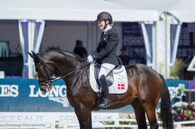 Para Dressage
Grade II
Keywords: Goerklintgaards Quater;Katrine kristensen;cp