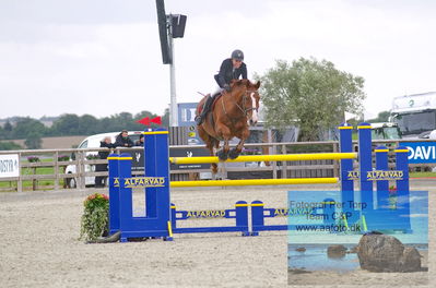 Alfarvad MA1 Springning Heste (135 cm) B7
Keywords: dm;pt;marie louise horstmann;hovgaards red moon