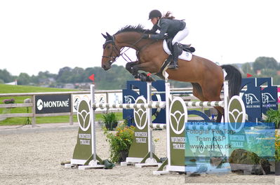 Alfarvad MA1 Springning Heste (135 cm) B7
Keywords: dm;pt;karen moeller rohde;evolution ask dwb