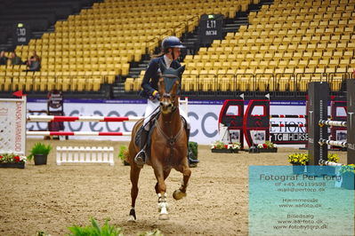 CSIP FEI Jumping Ponies Trophy (238.2.1) 1.25m
Keywords: zara jane kelly;romabout