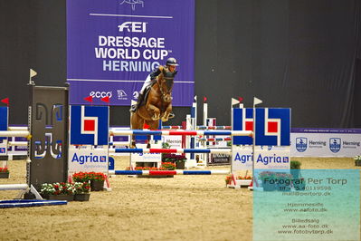 CSIP FEI Jumping Ponies Trophy (238.2.1) 1.25m
Keywords: zara jane kelly;romabout