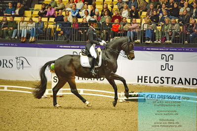 FEI Dressage World Cup Grand Prix
Keywords: felicitas hendricks;drombusch old