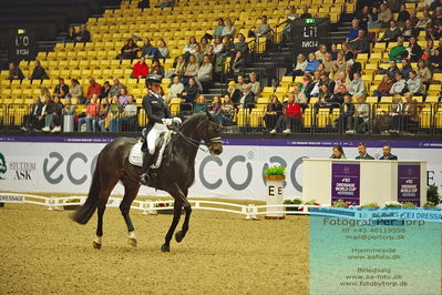 FEI Dressage World Cup Grand Prix
Keywords: felicitas hendricks;drombusch old