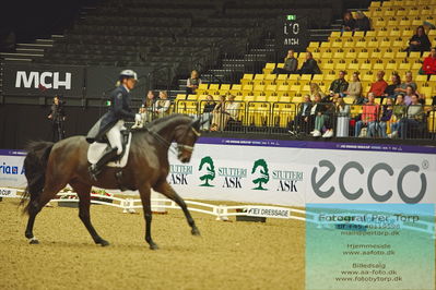 FEI Dressage World Cup Grand Prix
Keywords: lone bang larsen;lone bang zindorff;thranegaardens rostov