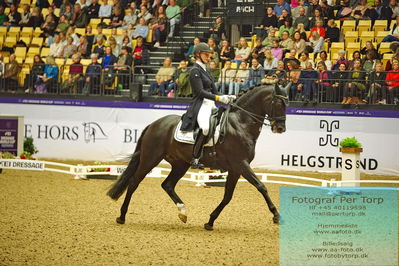 FEI Dressage World Cup Grand Prix
Keywords: denise nekerman;boston sth