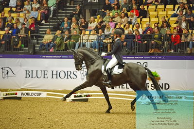 FEI Dressage World Cup Grand Prix
Keywords: denise nekerman;boston sth