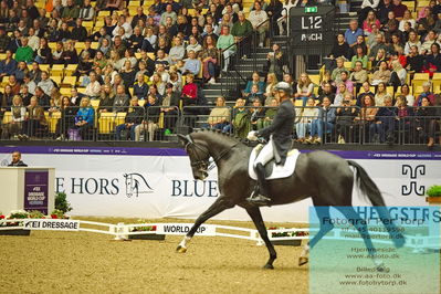 FEI Dressage World Cup Grand Prix
Keywords: andreas helgstrand;queenparks wendy