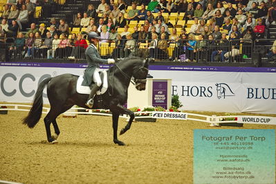 FEI Dressage World Cup Grand Prix
Keywords: corentin pottier;gotilas du feuillard