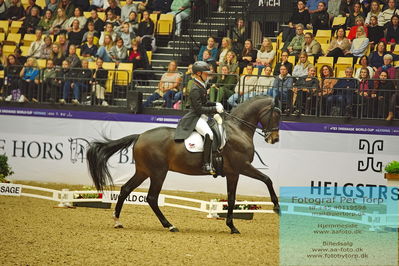 FEI Dressage World Cup Grand Prix
Keywords: raphael netz;great escape camelot