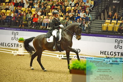 FEI Dressage World Cup Grand Prix
Keywords: raphael netz;great escape camelot