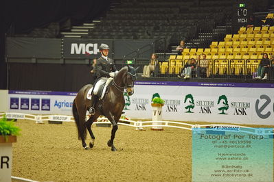 FEI Dressage World Cup Grand Prix
Keywords: raphael netz;great escape camelot