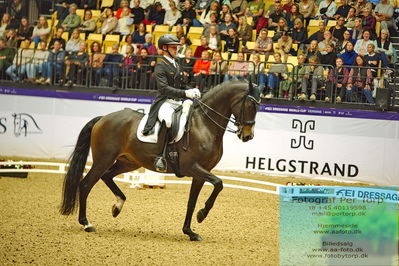 FEI Dressage World Cup Grand Prix
Keywords: raphael netz;great escape camelot