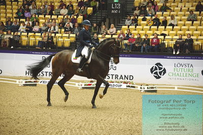 FEI Dressage World Cup Grand Prix Freestyle
Keywords: justina vanagaite;nabab