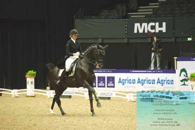 FEI Dressage World Cup Grand Prix Freestyle
Keywords: denise nekerman;boston sth