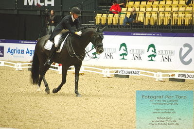 FEI Dressage World Cup Grand Prix Freestyle
Keywords: denise nekerman;boston sth