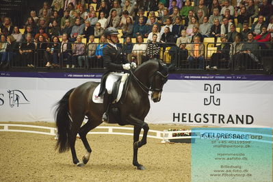 FEI Dressage World Cup Grand Prix Freestyle
Keywords: raphael netz;great escape camelot