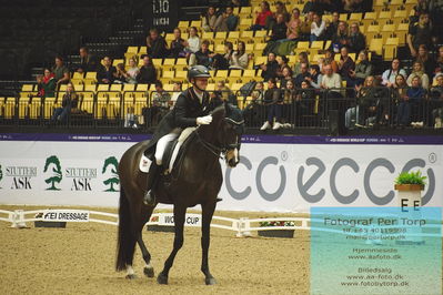 FEI Dressage World Cup Grand Prix Freestyle
Keywords: raphael netz;great escape camelot