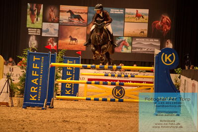 07 FENDT CSI3 Medium Tour (238.2.1) 1.40
Keywords: renee ulvsberg;vigo van riesen