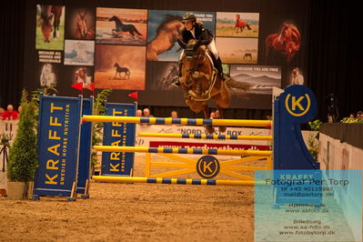 07 FENDT CSI3 Medium Tour (238.2.1) 1.40
Keywords: janne friederike meyer-zimmermann;high level 6