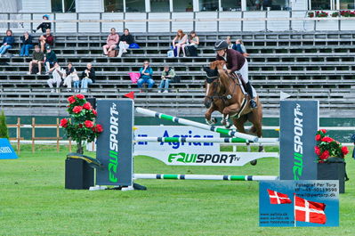 folksam open for 6 års heste 130cm
Keywords: falsterbo;julia johansson;angel z