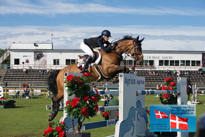 Stiftelsen Falsterbo Horse Show Prize
145cm
Keywords: falsterbo;petronella andersson;odina van klapscheut