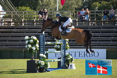 Stiftelsen Falsterbo Horse Show Prize
145cm
Keywords: falsterbo;petronella andersson;odina van klapscheut