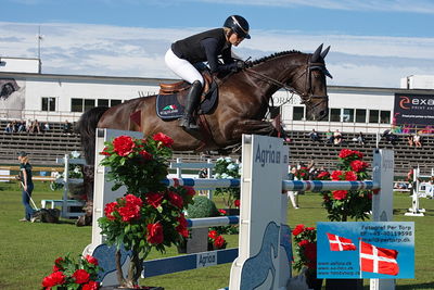 Stiftelsen Falsterbo Horse Show Prize
145cm
Keywords: falsterbo;linda heed;daiquiri cc