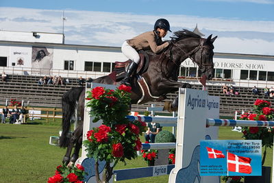 Stiftelsen Falsterbo Horse Show Prize
145cm
Keywords: falsterbo;marie pellegrin;fini l'amour