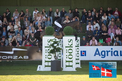 Stiftelsen Falsterbo Horse Show Prize
145cm
Keywords: falsterbo;antonia pettersson häggström;like me mb