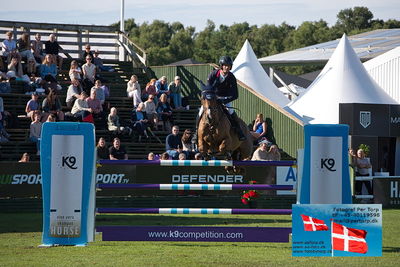 Stiftelsen Falsterbo Horse Show Prize
145cm
Keywords: falsterbo;julien gonin;caprice de guinfard