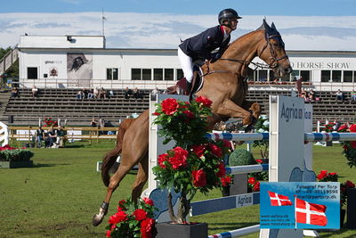 Stiftelsen Falsterbo Horse Show Prize
145cm
Keywords: falsterbo;julien gonin;caprice de guinfard