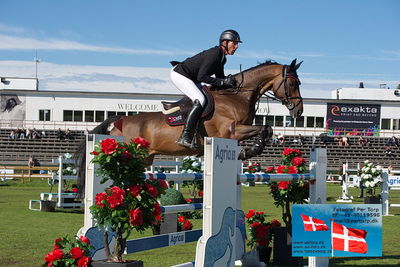 Stiftelsen Falsterbo Horse Show Prize
145cm
Keywords: falsterbo;alain jufer;dante mm