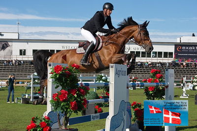 Stiftelsen Falsterbo Horse Show Prize
145cm
Keywords: falsterbo;marc houtzager;sterrehofs dante