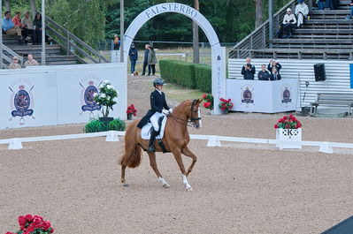 Dresuur 7 års championats finale
Keywords: falsterbo;dk;helene brinck;moelvangs kasmir
