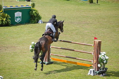 CSIO5 Rolex Grand Prix
Keywords: falsterbo;showjumping;henrick von eckermann;minute man