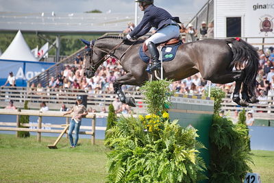 CSIO5 Rolex Grand Prix
Keywords: falsterbo;showjumping;cian oconnor;canbella blue ps