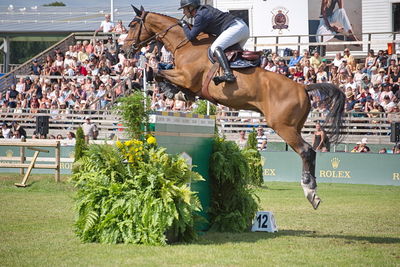 CSIO5 Rolex Grand Prix
Keywords: falsterbo;showjumping;Romain Duguet;Hunger Games du Champ du Bois