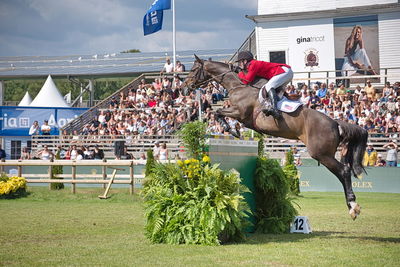 CSIO5 Rolex Grand Prix
Keywords: falsterbo;showjumping;maclain ward;callas