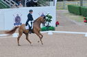 Filename=PT2_1785.JPG
Filesize=232KiB
Dimensions=800x531
Date added=Jul 12, 2025 PT2_1785.JPG