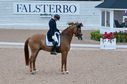Filename=PT2_1793.JPG
Filesize=244KiB
Dimensions=800x531
Date added=Jul 12, 2025 PT2_1793.JPG