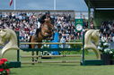 Filename=PT2_1989.JPG
Filesize=251KiB
Dimensions=800x531
Date added=Jul 14, 2025 PT2_1989.JPG