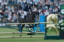 Filename=PT2_2057.JPG
Filesize=258KiB
Dimensions=800x531
Date added=Jul 14, 2025 PT2_2057.JPG