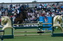 Filename=PT2_2064.JPG
Filesize=246KiB
Dimensions=800x531
Date added=Jul 14, 2025 PT2_2064.JPG