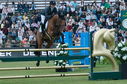 Filename=PT2_2088.JPG
Filesize=255KiB
Dimensions=800x531
Date added=Jul 14, 2025 PT2_2088.JPG