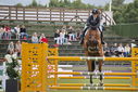 Filename=PT9_2142.JPG
Filesize=210KiB
Dimensions=800x534
Date added=Jul 14, 2025 PT9_2142.JPG