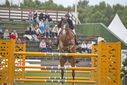 Filename=PT9_2189.JPG
Filesize=195KiB
Dimensions=800x534
Date added=Jul 14, 2025 PT9_2189.JPG