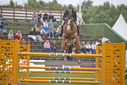 Filename=PT9_2190.JPG
Filesize=197KiB
Dimensions=800x534
Date added=Jul 14, 2025 PT9_2190.JPG