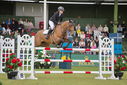 Filename=PT9_2225.JPG
Filesize=203KiB
Dimensions=800x534
Date added=Jul 14, 2025 PT9_2225.JPG